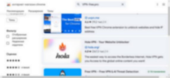 chromewebstore.google.com