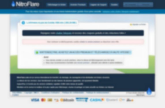 nitroflare.com