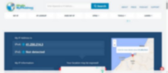 whatismyipaddress.com
